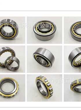 BGBG满滚子轴承SL04 NNF 5012 501 3 4 5 PP ADA-2LS圆柱滚子轴承