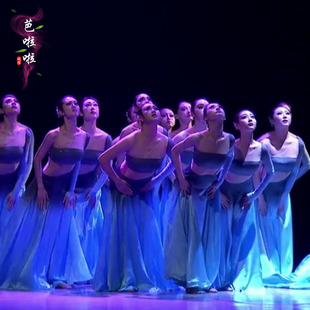 傣族舞蹈服装长袖《悬月》儿童成人演出服表演练功服大摆裙艺考女