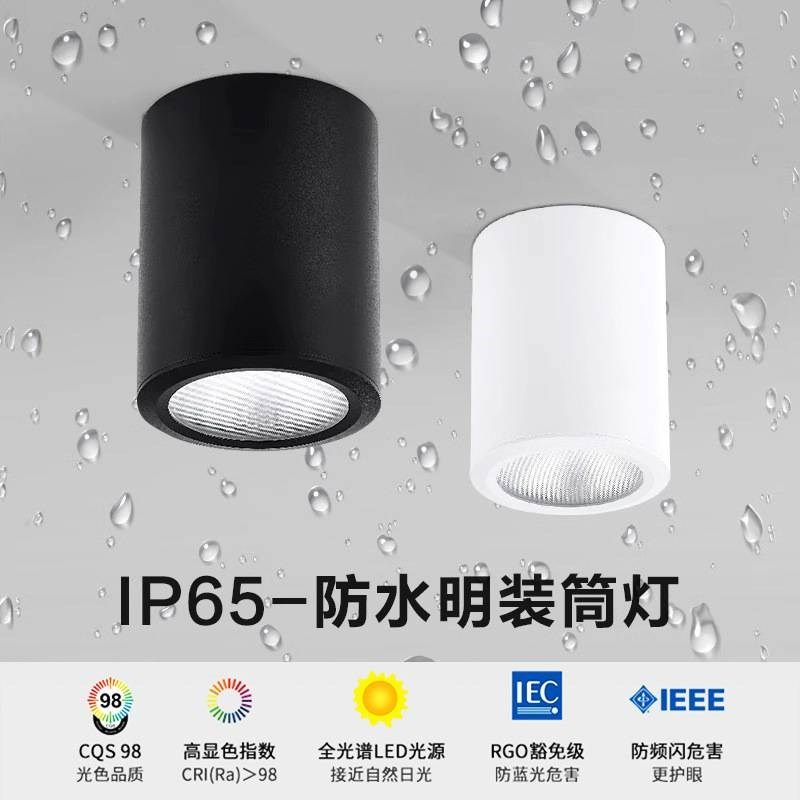led防水明装筒灯户外室外阳台店铺门头酒店雨棚露台吸顶射灯IP65,家装灯饰光源,明装筒灯,淘宝优惠券,粉丝福利购,淘宝优惠卷