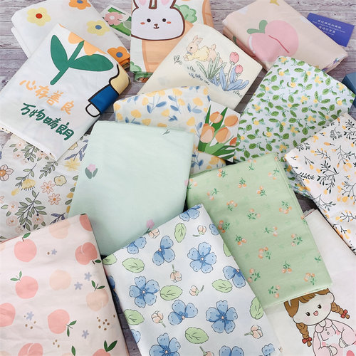 小清新可爱卡通全棉斜纹床单枕套学生宿舍双人床品可定做