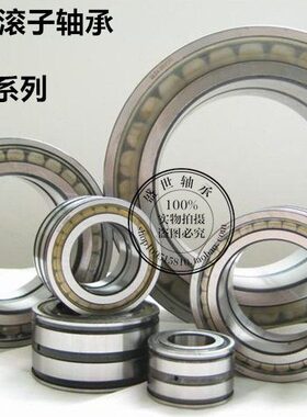 常州满装圆柱滚子轴承SL014952进口NNC4952内径260外径360厚度100