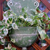 杂货绿色壁挂花盆做旧森得源壁饰铁艺园艺收纳花器复古家居饰品