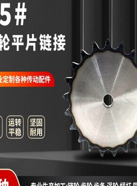 平/A18寸24/片101.514齿11链条-/1512//713钢61945/链轮/9/15/16/