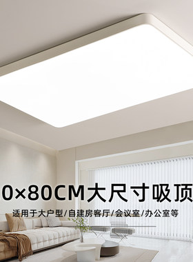 大尺寸客厅灯简约现代大气灯具120cm大厅大灯会议室极简风吸顶灯