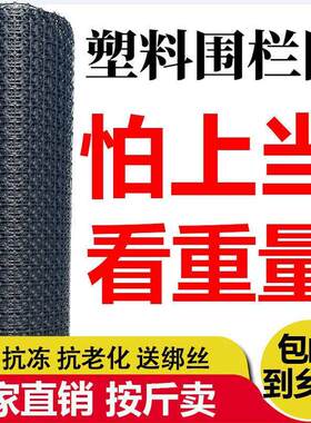 养鸡围栏网塑料养殖网池塘防护护栏鸡鸭鹅养殖大棚通风网塑料围栏