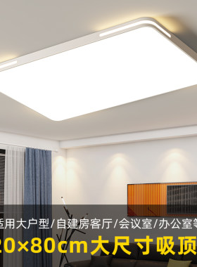 客厅客厅灯吸顶灯led特大超大尺寸长方形120cm大厅主灯办公室客厅