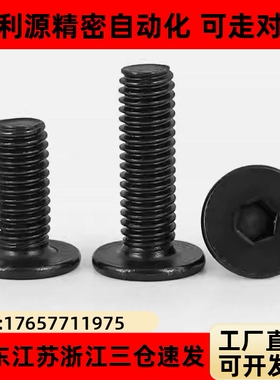 CBSS8/10-10/12/16/20/25/30超薄头型螺栓 极低头内六角螺丝