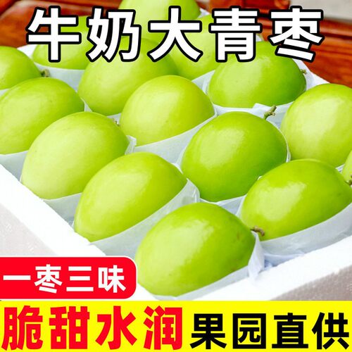 新鲜牛奶青枣5斤枣贵妃冬枣时令水果当季整箱奶油脆枣果园现发