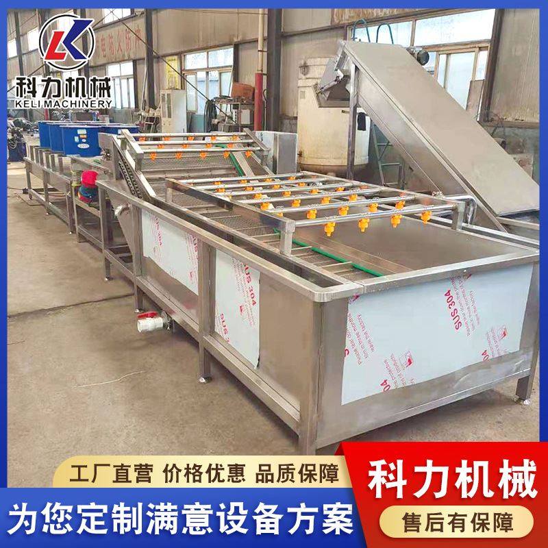 果蔬气泡清洗机 自动洗菜机带叶青菜清洗机 香菜清洗机,清洗/食品/商业设备,其他清洗机,淘宝优惠券,粉丝福利购,淘宝优惠卷