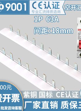 条 铜接连接线端子C紫ZD/41P空气开关断路器745空开铜排63A汇流排