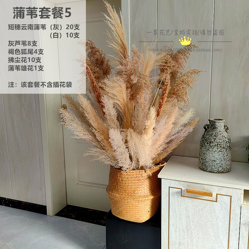 新品大把束杂色芦苇草干花蒲苇干花落地装饰橱窗摆件婚庆拍照道具