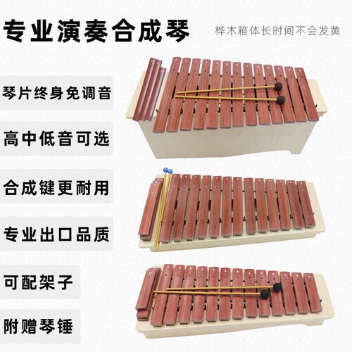 奥尔夫专业打击乐器手敲琴音乐打琴高中低音变调箱体琴16音合成琴