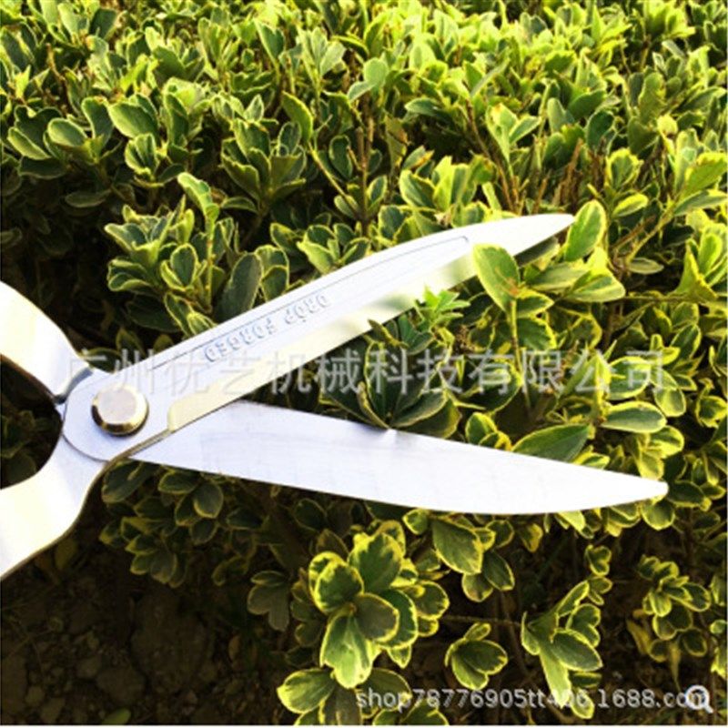 奥迈克1007D锻造大平剪园林园艺大平剪可磨整S篱剪绿篱剪修枝剪
