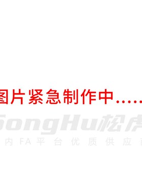 ECF61-S8M300-60-F涨紧套同步轮S8M-40齿定心免键同.步带轮F形