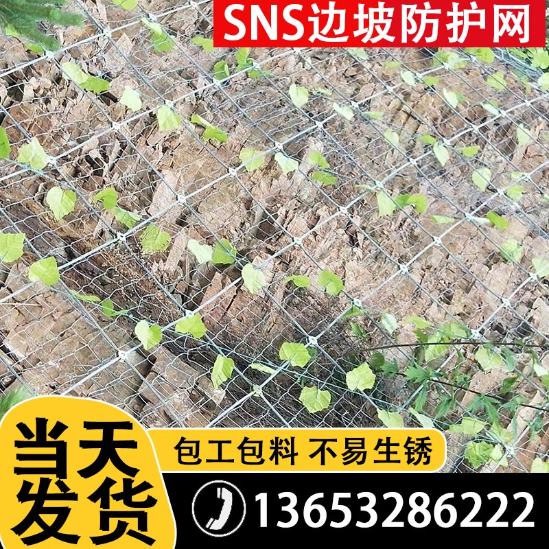 主动被动边坡防护网SNS柔性山体滑坡H安全网拦截滚石gps2被动网