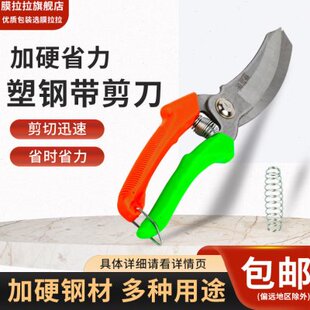 园林修专用剪刀剪刀剪子高硬度打包带用嫁接工具果树园艺塑钢带耐