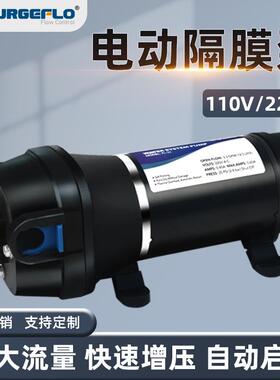 源头工厂FL-41/43大流量抽水增压泵110v220v交流电动灌装机隔膜泵