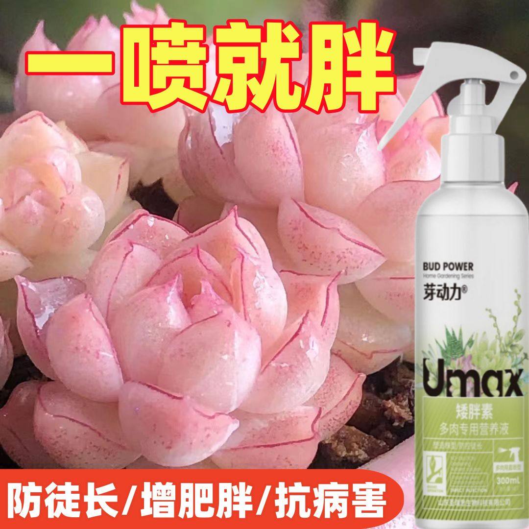 多肉矮胖素直喷免稀释增肥增色叶面肥防徒长莲花座爆芽素营养液,鲜花速递/花卉仿真/绿植园艺,家庭园艺肥料,淘宝优惠券,粉丝福利购,淘宝优惠卷
