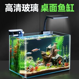 热弯鱼缸小型客厅小鱼缸2024新款玻璃缸水缸生态金鱼缸家用水族箱