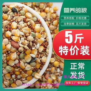 鸽子粮无玉米鸽粮食营养饲料鸟食20信鸽观赏鸽赛鸽幼鸽成鸽粮包邮