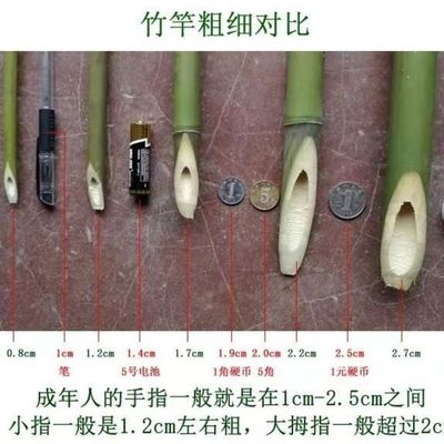 小竹竿菜园搭架豆角豇豆黄瓜蔬菜爬藤竹杆篱笆栅栏彩旗杆包邮