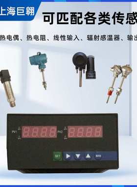 上仪双回路控制仪XMTA-2000智能温控全输入报警控制K\PT100控制仪