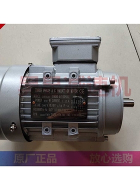 GS7124 GS8036 GS6322 三相电机 THREE PHASE AC INDUCTION MOTOR