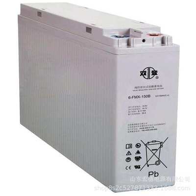 双登蓄电池 6-FMX-100B 狭长型12V100AH 通信电源48V电池组