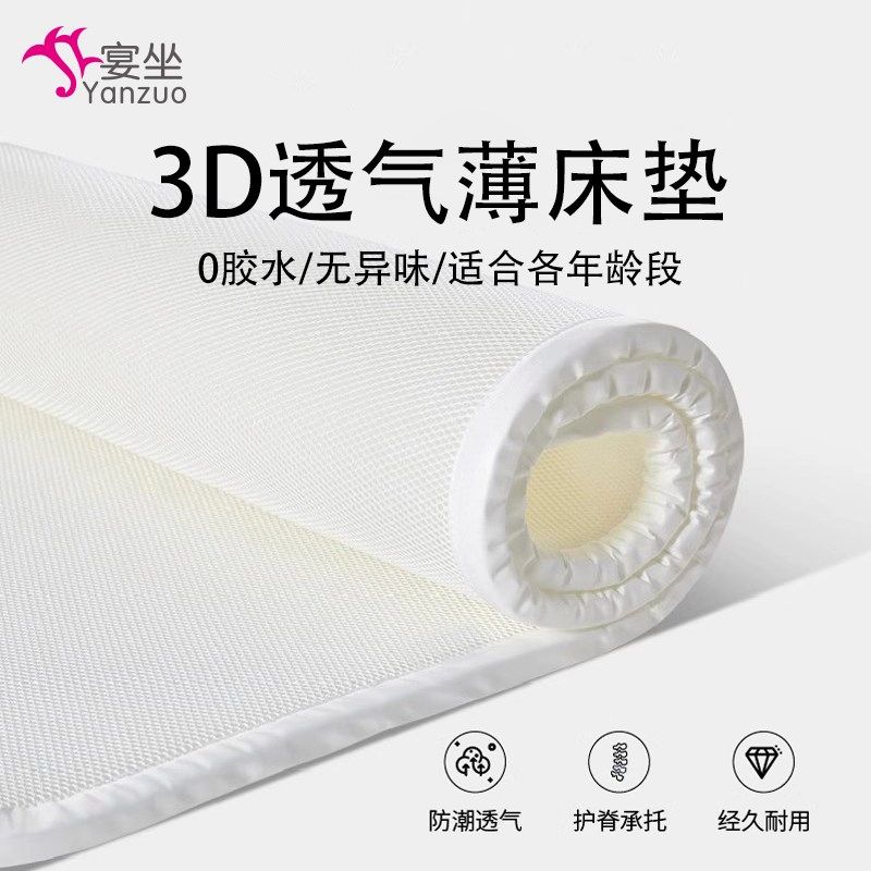 纯3d丝垫空气纤维家用学生宿舍4d水洗的5d透气榻榻米露营薄床垫