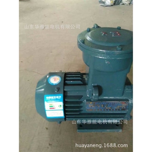 5.5电机替代沈阳电机Y2EJ电机CZ机壳风机用轴流风机用 YEJ 132S