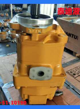 705-51-30190齿轮泵 用于山推SD23推土机D85-21推土机工作泵