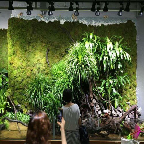 植物生长射灯雨林缸花卉室内生态造景全光谱仿太阳轨道植物补光灯