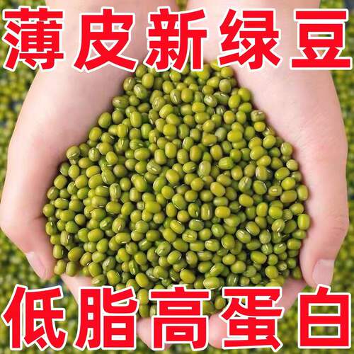新货农家小绿豆可发芽熬汤做糕