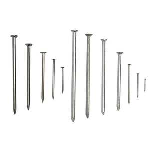 厂家加工 不锈钢圆钉 木工钉 小铁钉子 散装水泥钉圆头钉子