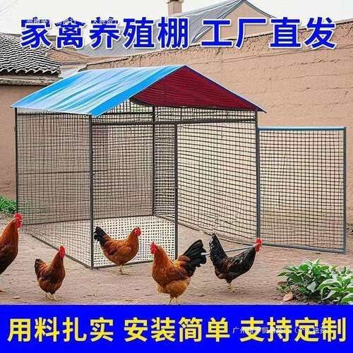鸡棚鸡笼特大号家禽养殖兔笼防雨孔雀搭建鸽笼特大号大型家用鸡舍