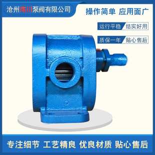 2CY系列高压齿轮泵小型铸铁卧式 h燃油增压齿轮泵输送泵 2CY3m3