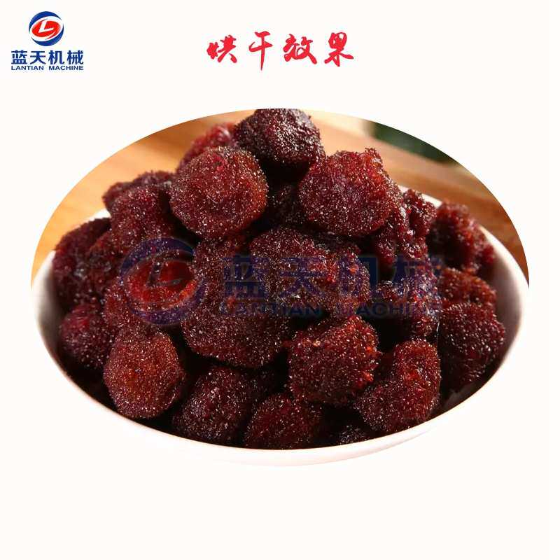 蓝天杨梅烘干机 智能控温杨梅干杨梅果烘干箱 小型树梅烘干机设备