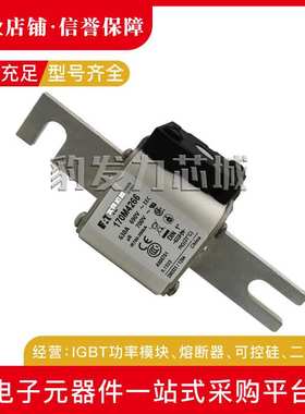 170M4308 170M4309 170M4310 170M4311 170M4312 170M4313熔断器