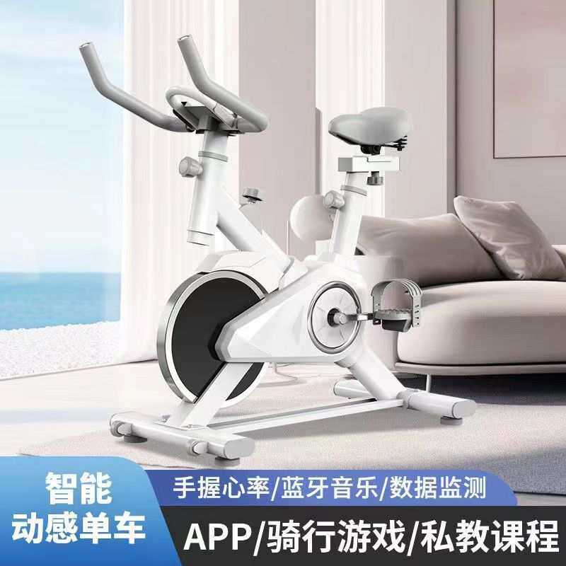 动感单车家用室内静音自行车健身房专用运动器材脚踏小型锻炼