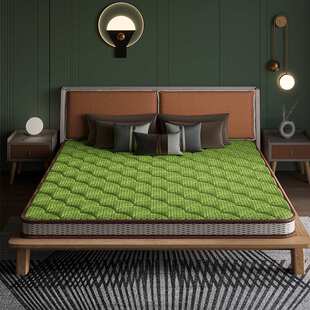 床垫椰棕垫家用棕榈软硬适中床垫1.8儿童护脊1.5米经济型环保床垫