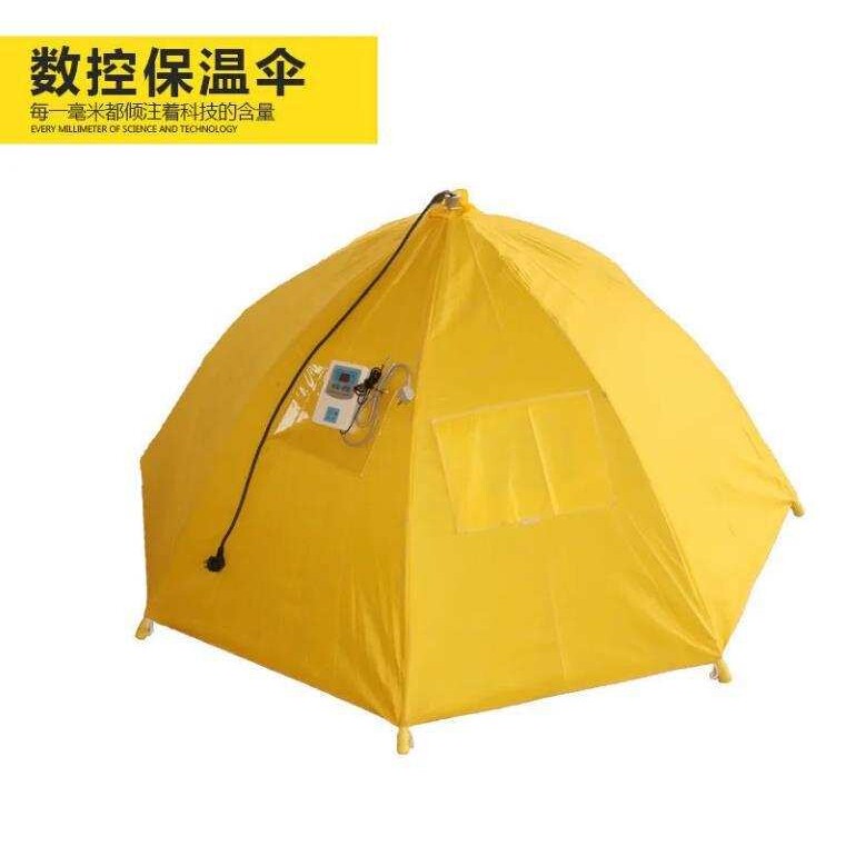 育雏伞 育雏器 保温箱小鸡脱温设备自动控温伞自动保温伞养鸡设备