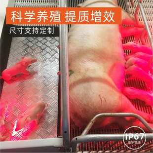 暖丰电热不锈钢仔猪用电热板畜牧采暖加热养殖场保温猪舍地暖节能