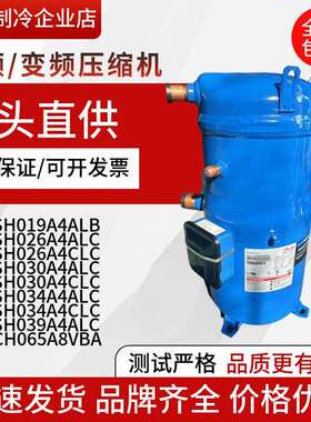 丹佛斯热泵PSH019A4ALBPSH026PSH030/034/039A4ALCPSH065A8VBA