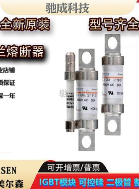 美尔森BS17US69V75PBS17US69V80PBS217UT69V65新保险丝供应