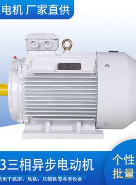 ye3三相异步电动机大功率0.75kw-250kw山东力久电机全铜芯起重电