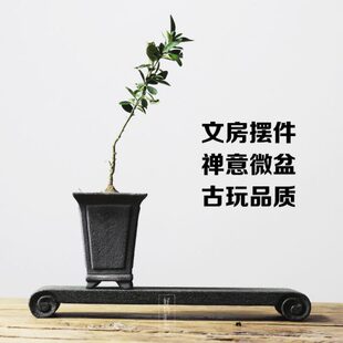 石青复古千茶桌上筒中式石迷你文竹盆手工微景观小花盆兰花专用盆
