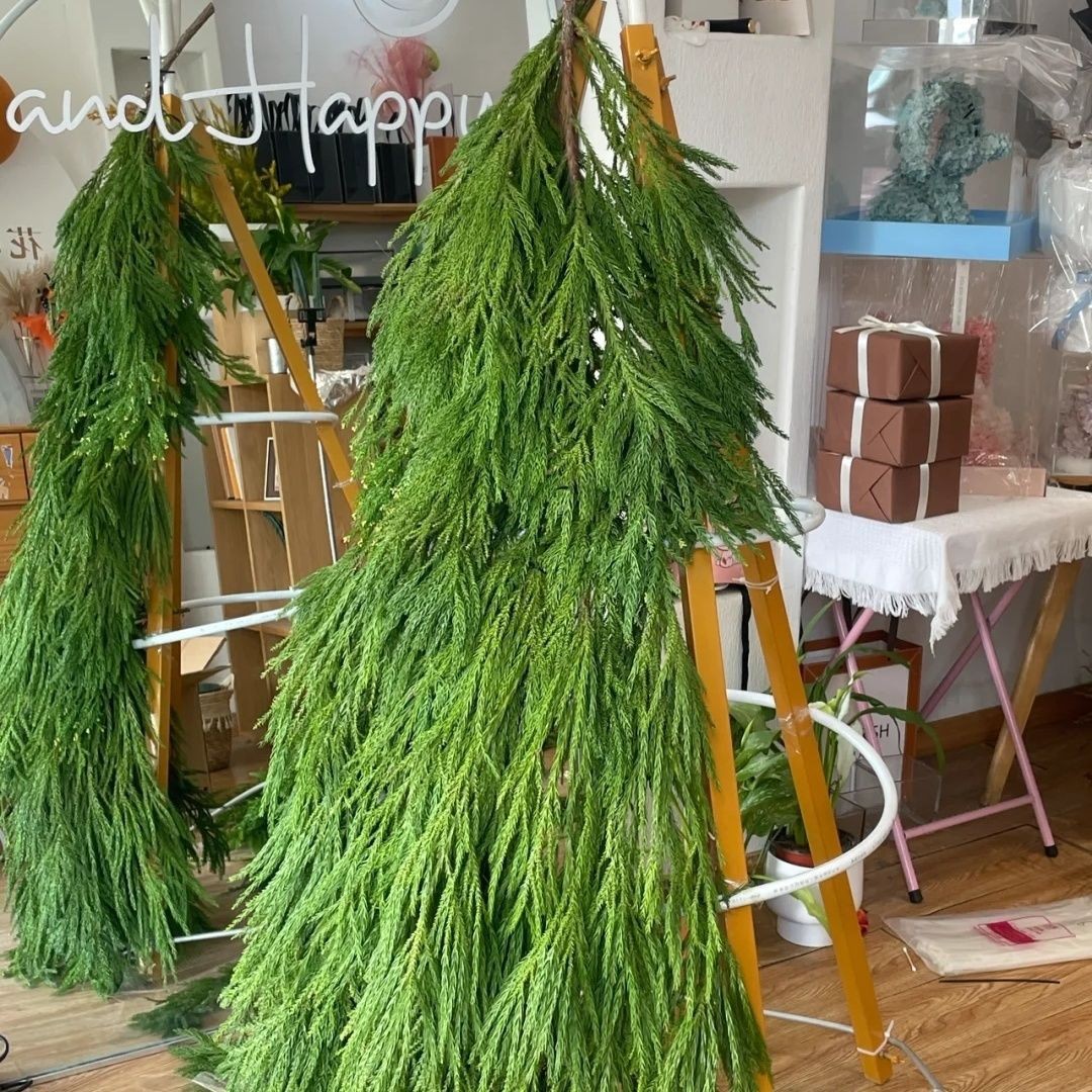 手工圣诞树绿植材料商场室外天竺