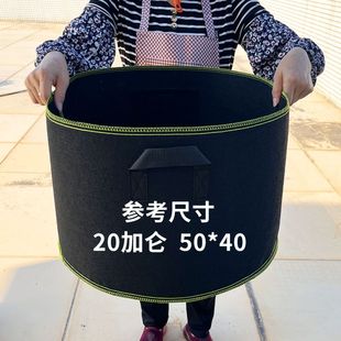 无纺布种植袋美植袋种植神器种植盆庭院阳台种菜盆植物花盆育苗袋