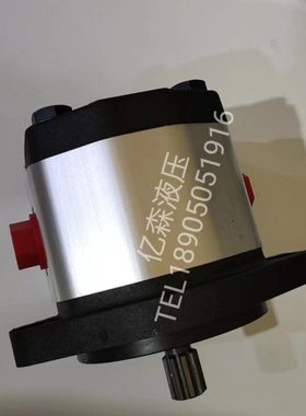 布赫BUCHER齿轮泵D-EP/CBDN/CBKL/CBD1/CBKE/CBKQ/CBKA/CB-E系列