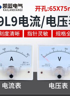 9l A指针 5AA1A615A20式3A10A 9502A交流电30 V 450流   电压表 A